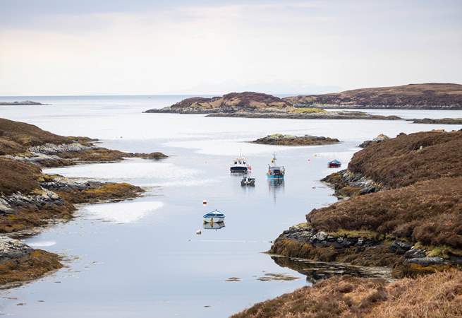 Take a cruise around the islands and maybe spot a sea eagle. 