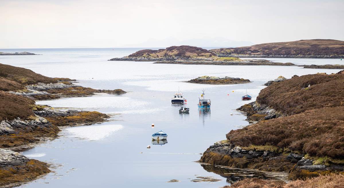 Take a cruise around the islands and maybe spot a sea eagle. 