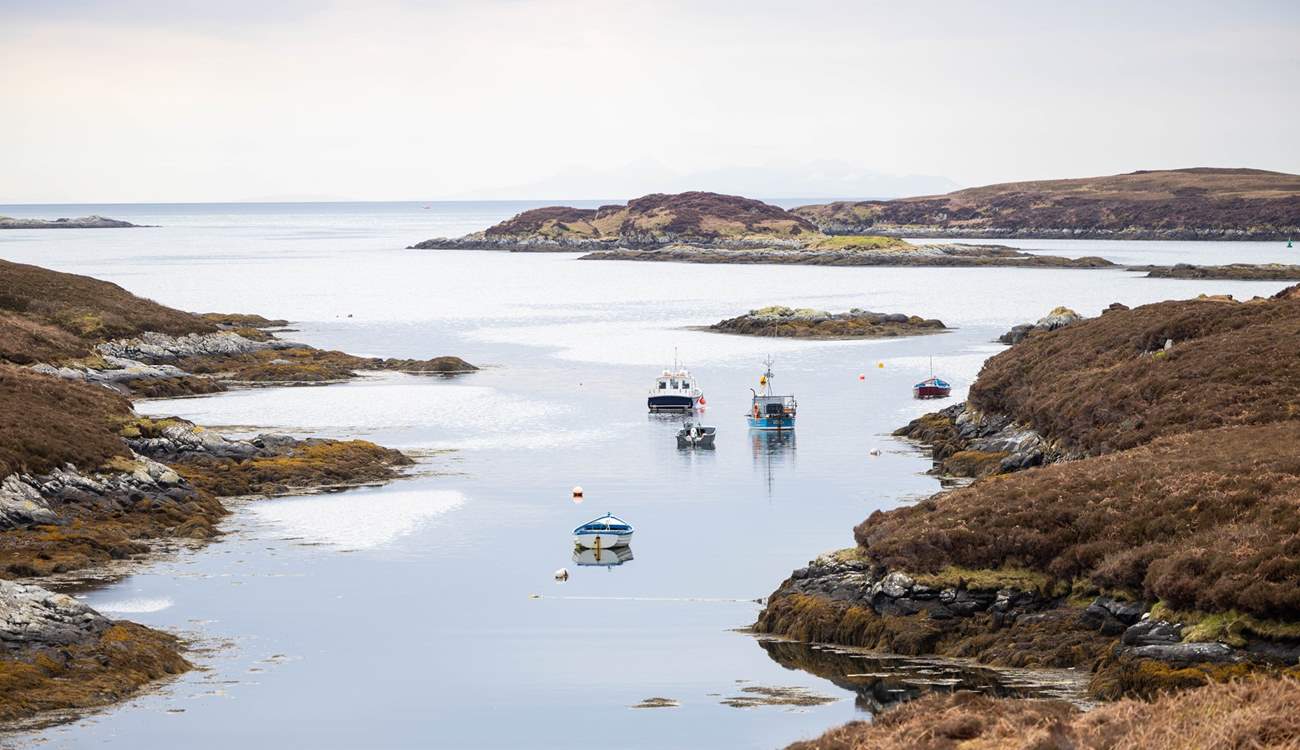 Take a cruise around the islands and maybe spot a sea eagle. 