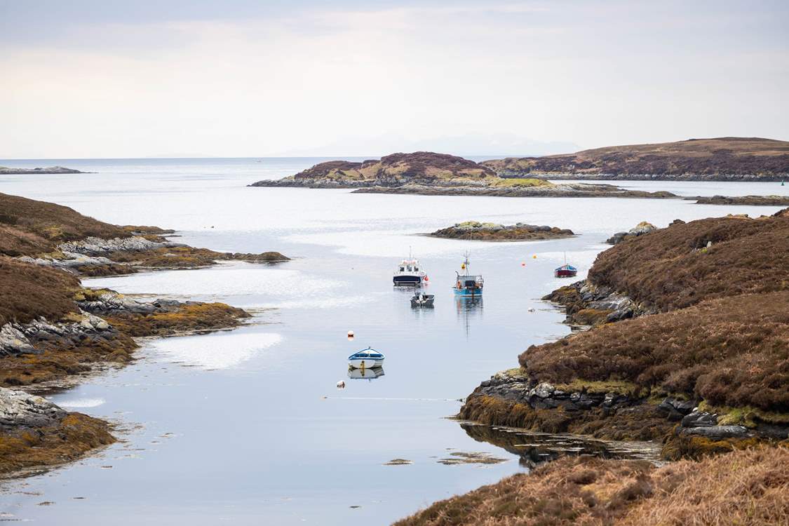 Take a cruise around the islands and maybe spot a sea eagle.