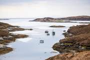 Take a cruise around the islands and maybe spot a sea eagle.