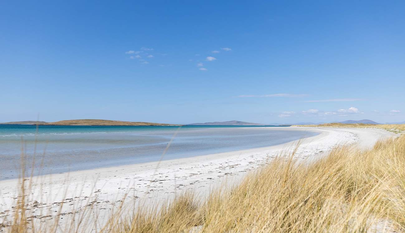 Get out your camera to make amazing memories.