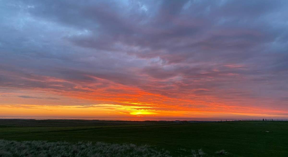 How wonderful to wake up to this.