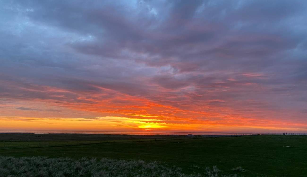 How wonderful to wake up to this.