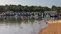 Take a walk down to the harbour and watch the wildlife.