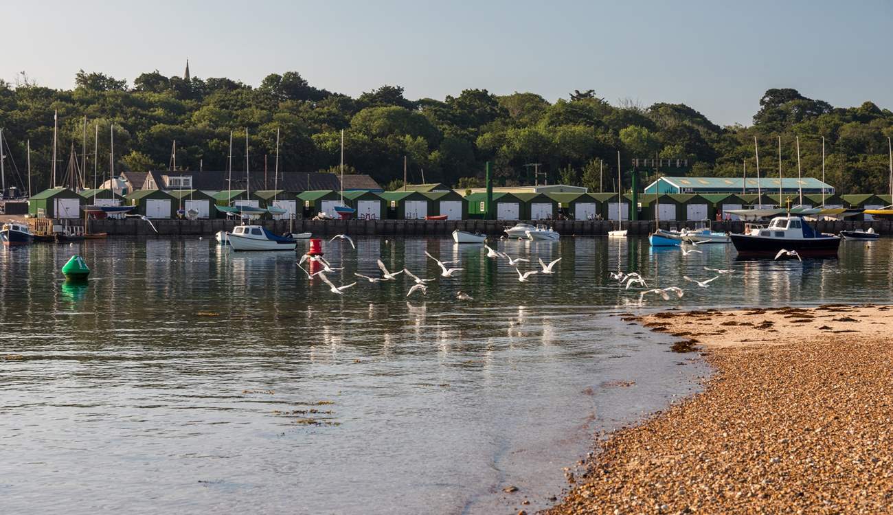 Take a walk down to the harbour and watch the wildlife.