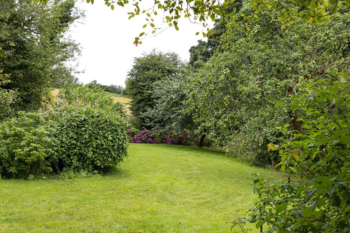 The owners invite you to enjoy their garden. The large lawn will delight adults and children alike.