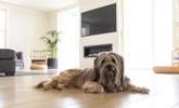 We know your four-legged friends will instantly feel at home! - Thumbnail Image