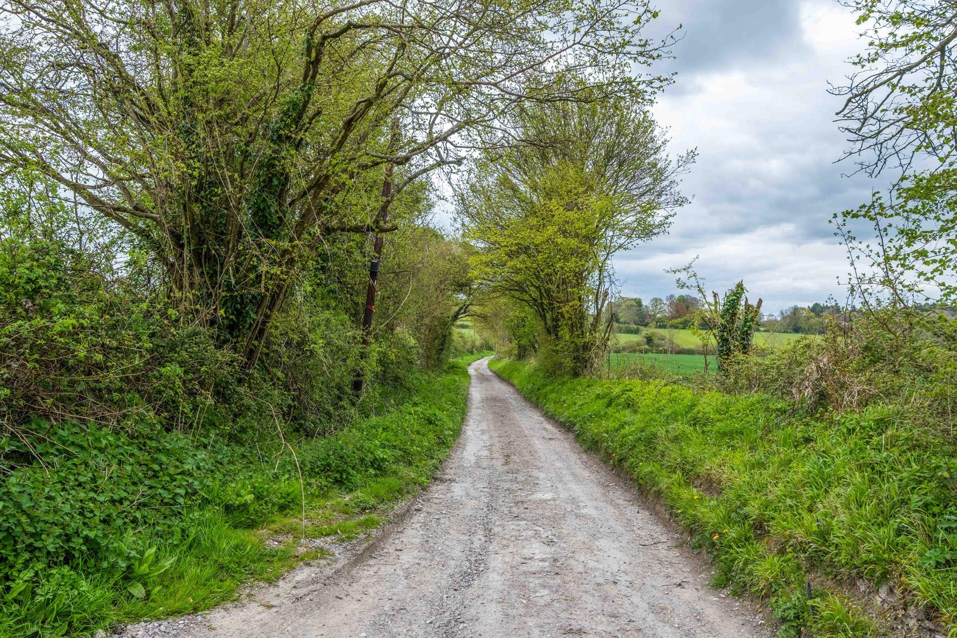 The lane leading to the property. Take care with low slung cars.