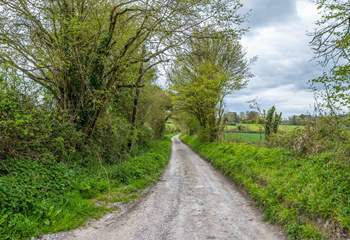 The lane leading to the property. Take care with low slung cars.