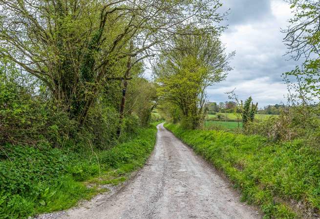 The lane leading to the property. Take care with low slung cars.