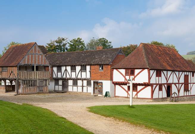 Visit The Weald and Downland Living Museum.
