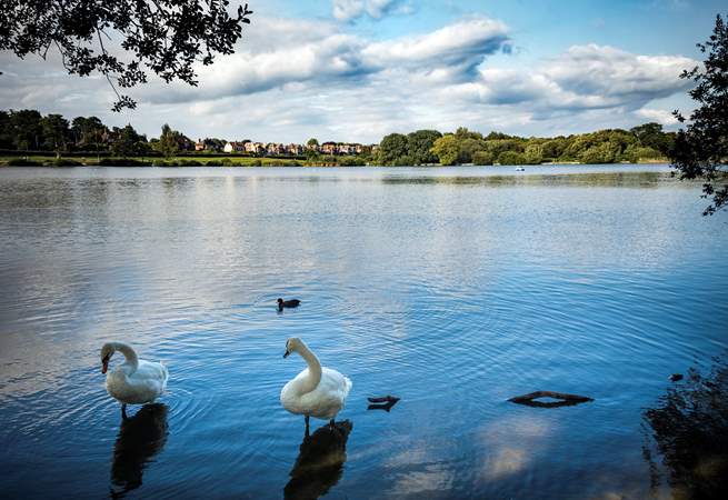 Heath Pond in the beautiful town of Petersfield.