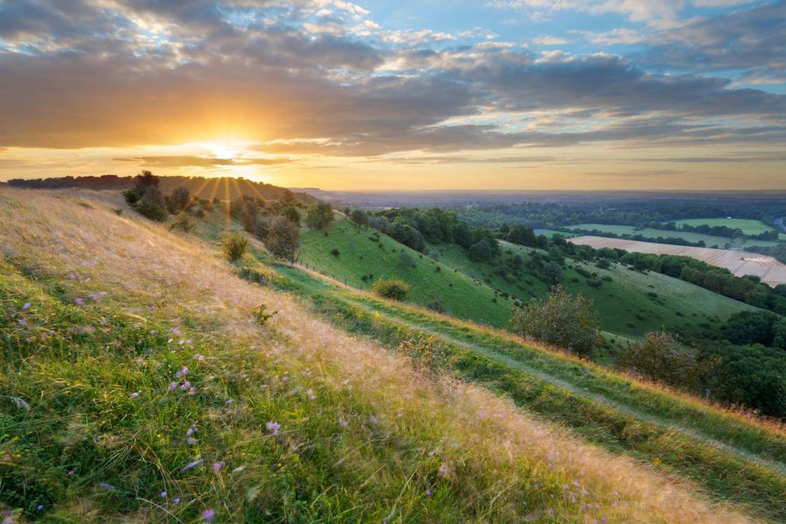 The views from Beacon Hill.