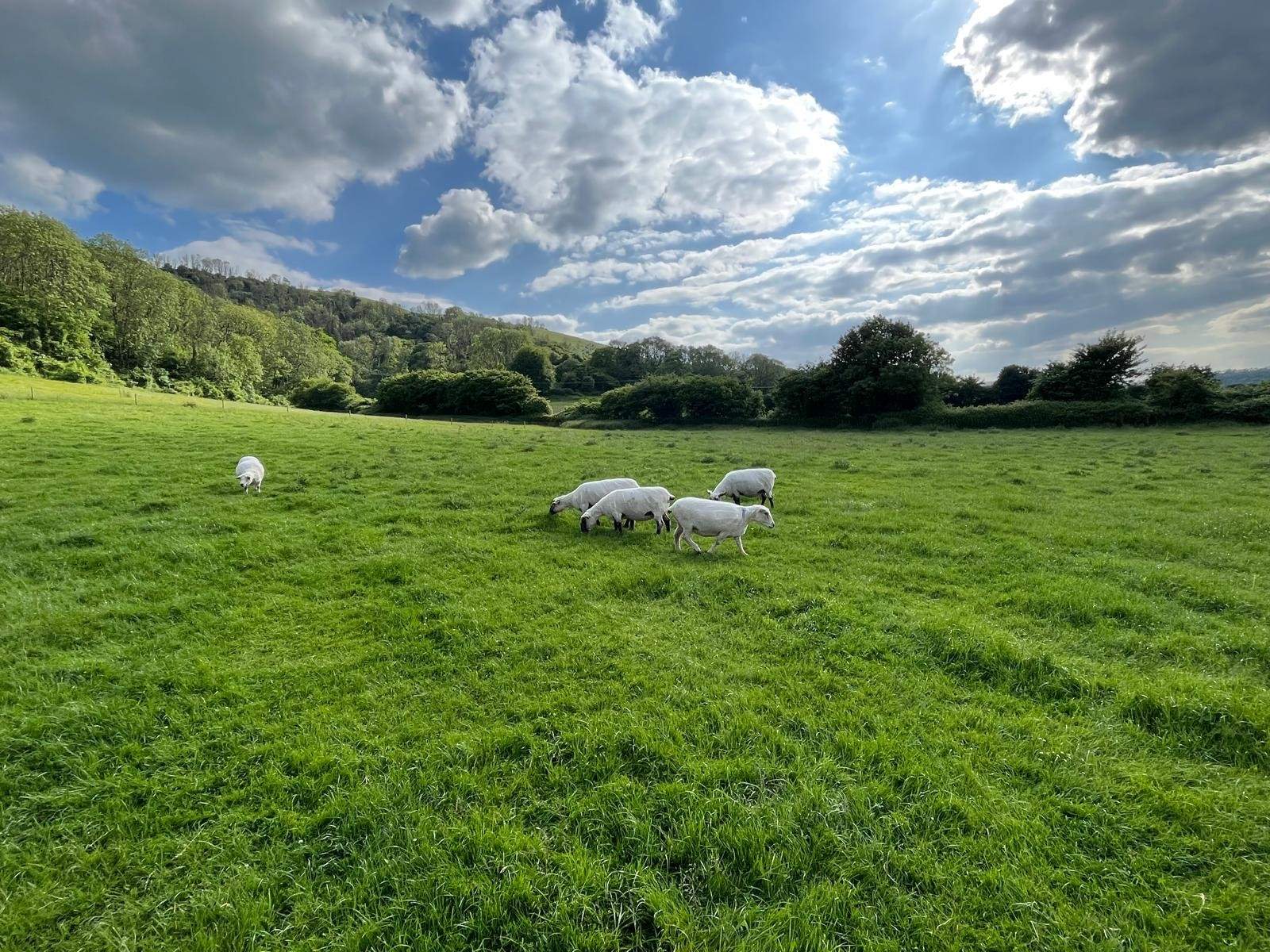 Enjoy the captivating surrounding scenery.