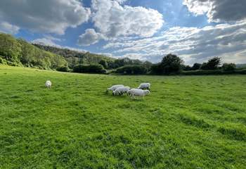 Enjoy the captivating surrounding scenery.