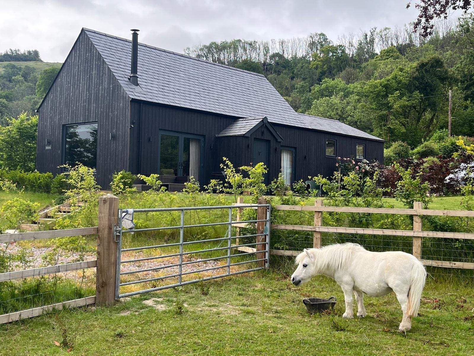 You may be lucky to spot Maggie grazing in the paddock.
