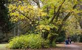 Spend time discovering the great outdoors at Westonbirt Arboretum. - Thumbnail Image