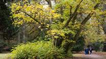 Spend time discovering the great outdoors at Westonbirt Arboretum.