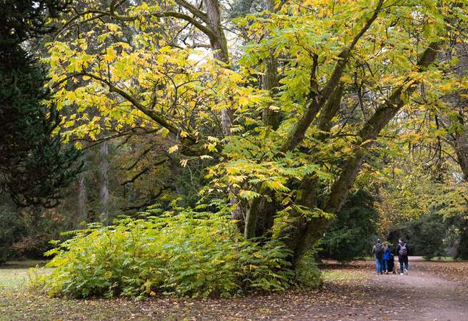 Spend time discovering the great outdoors at Westonbirt Arboretum.