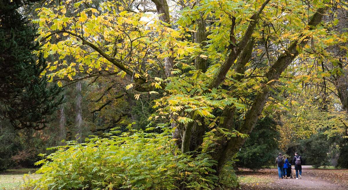 Spend time discovering the great outdoors at Westonbirt Arboretum.