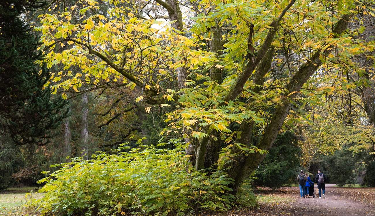 Spend time discovering the great outdoors at Westonbirt Arboretum.