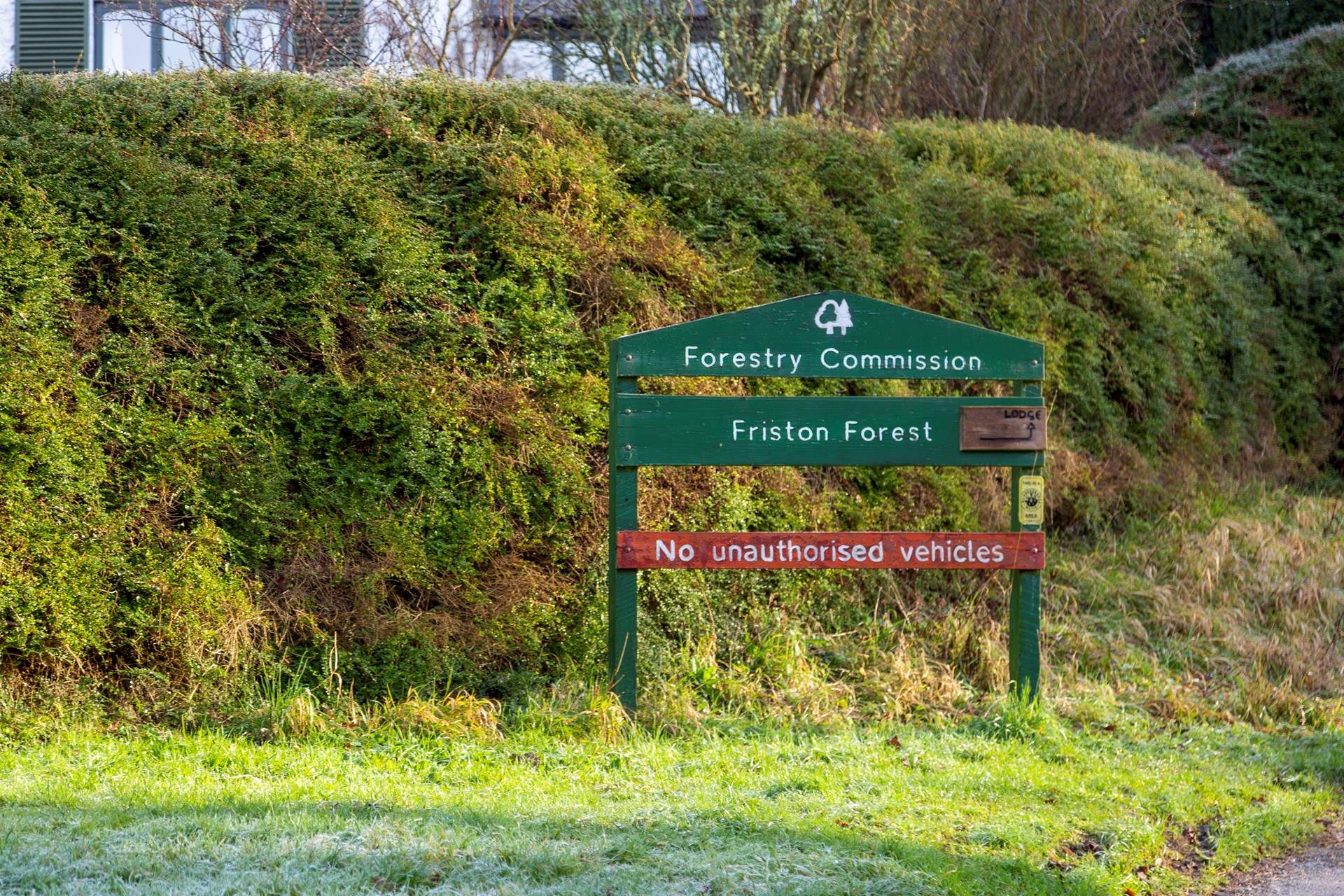 There are some great walks and cycle paths in Friston Forest.