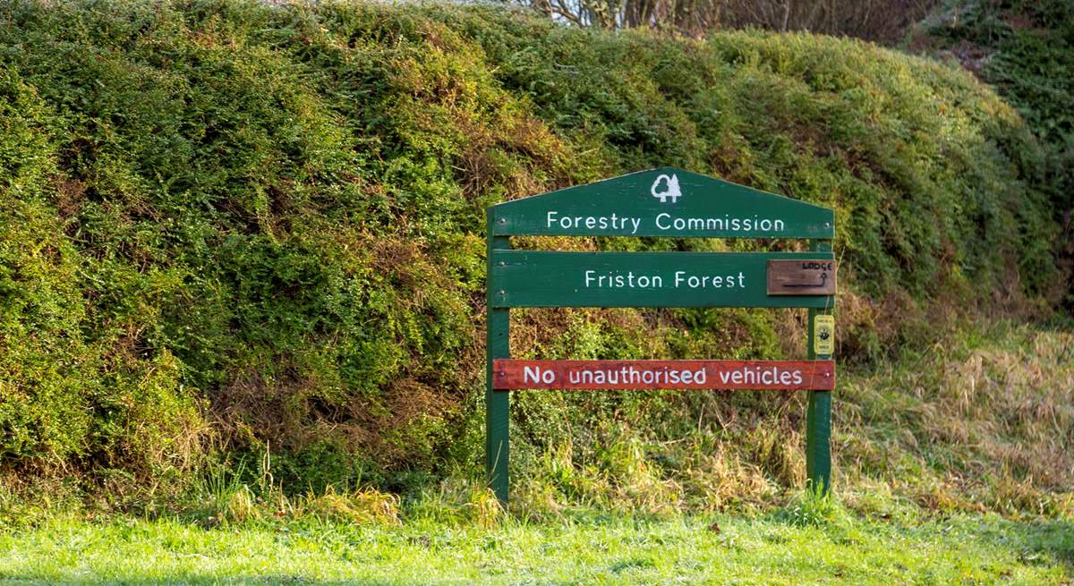 There are some great walks and cycle paths in Friston Forest.