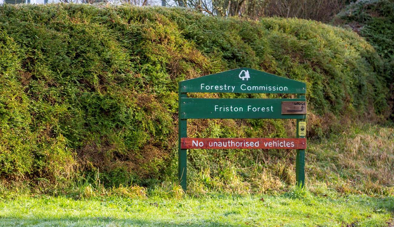 There are some great walks and cycle paths in Friston Forest.
