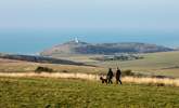 Take your four-legged friend and explore the South Downs National Park. - Thumbnail Image