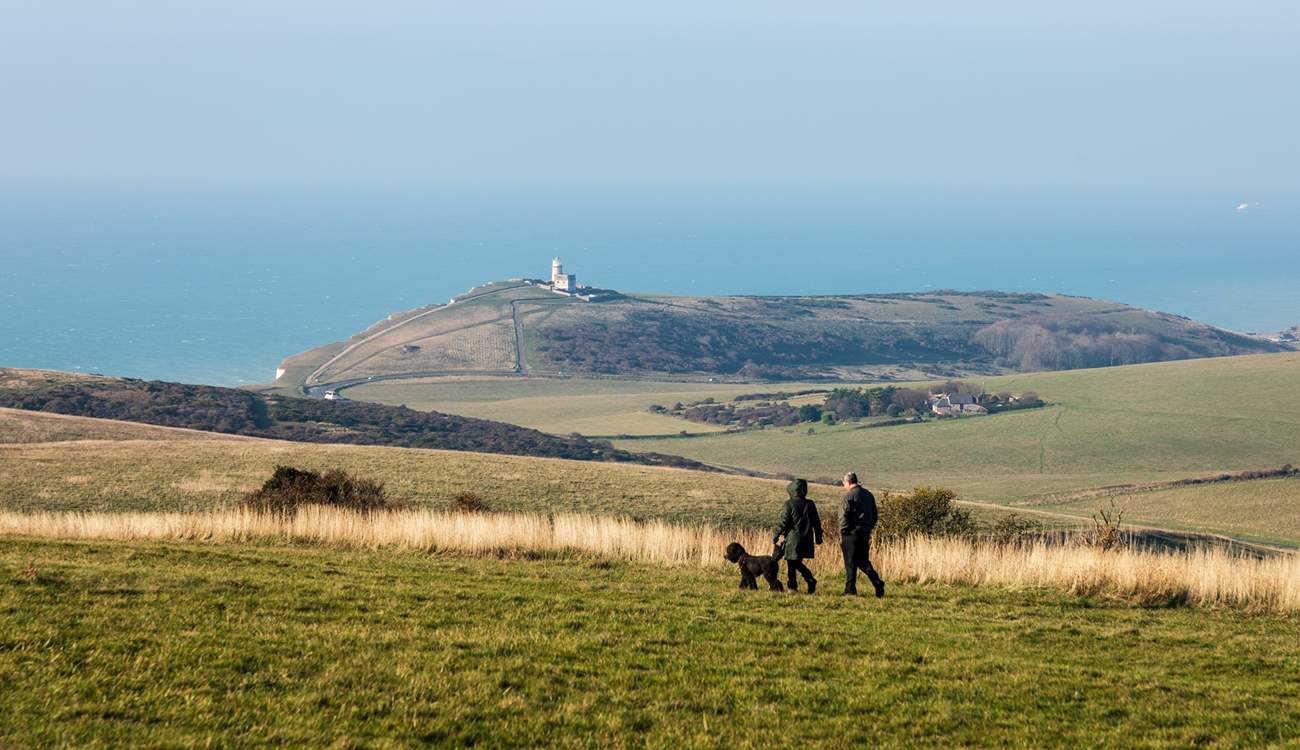Take your four-legged friend and explore the South Downs National Park.