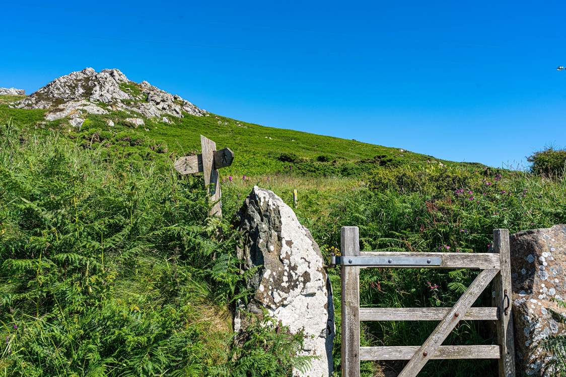 Choose spectacular coastal walking, beach days or exploring the pretty seaside towns.