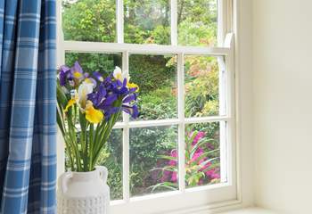 Pretty as a picture. 