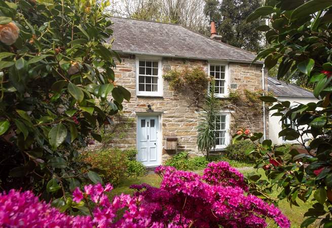 The garden at Grove Cottage is just beauiful.