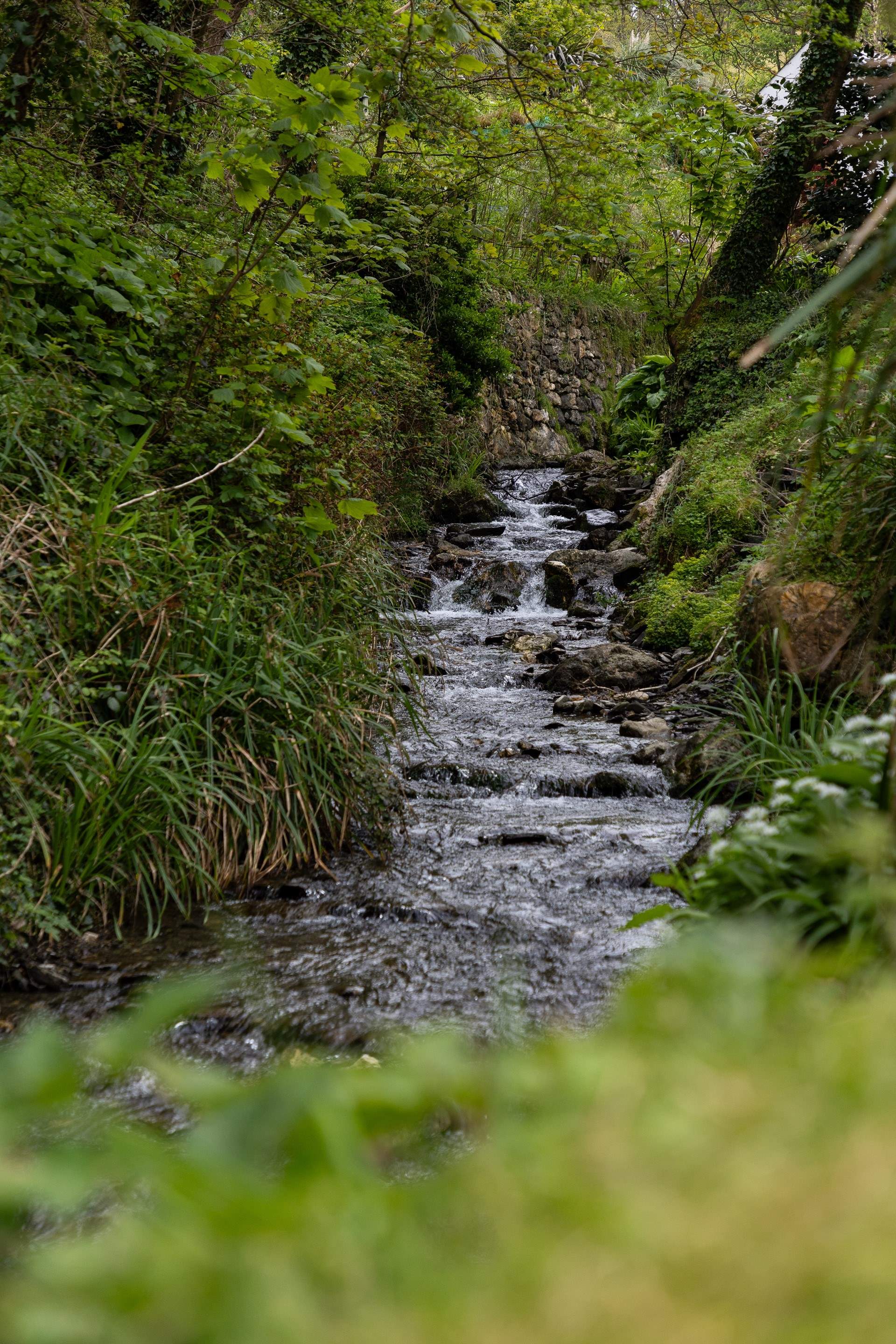 The setting is idyllic.