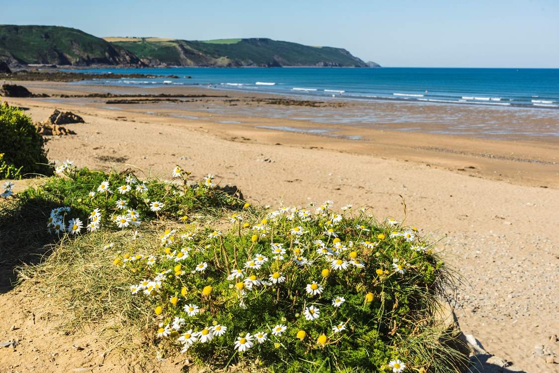 Head to the north Devon coast and discover golden sands, hidden coves and good old vitamin sea!