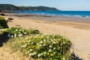 Head to the north Devon coast and discover golden sands, hidden coves and good old vitamin sea!