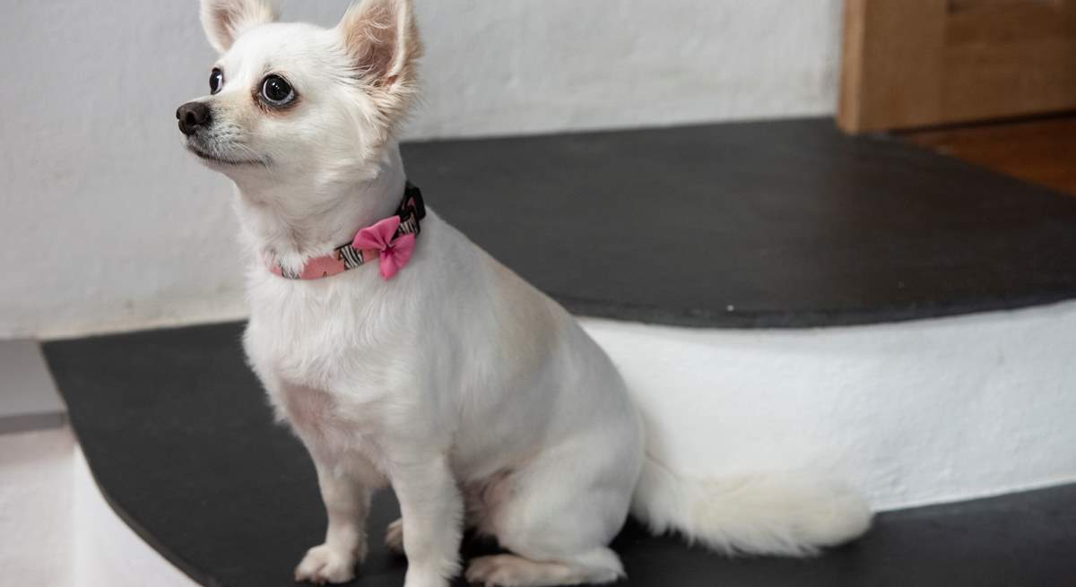 Our adorable model is showing off the unique steps in sitting-room 2.