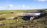 You can walk the coast path down at Gunwalloe and maybe visit this pretty little church.  - Thumbnail Image