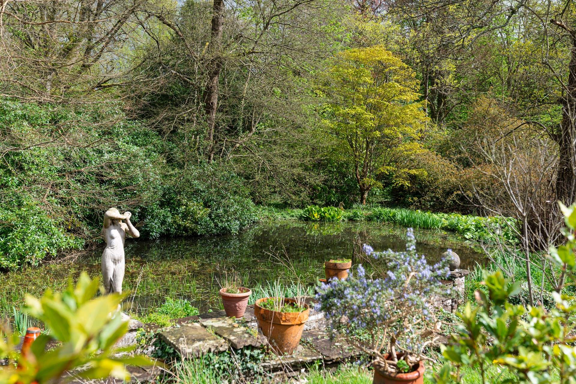 Stroll around the pretty garden and woodlands. 