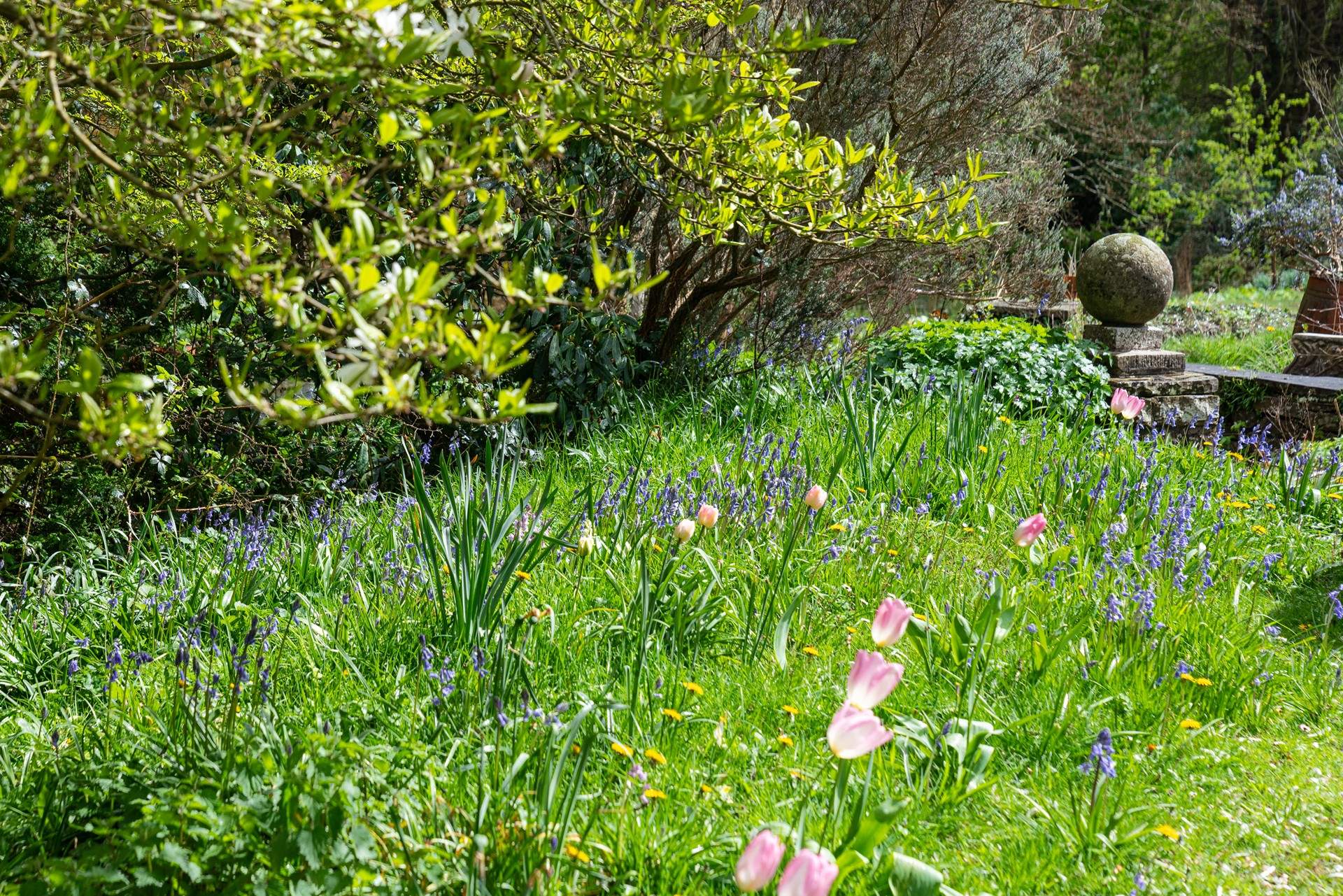 Connect with nature in the extensive gardens. 