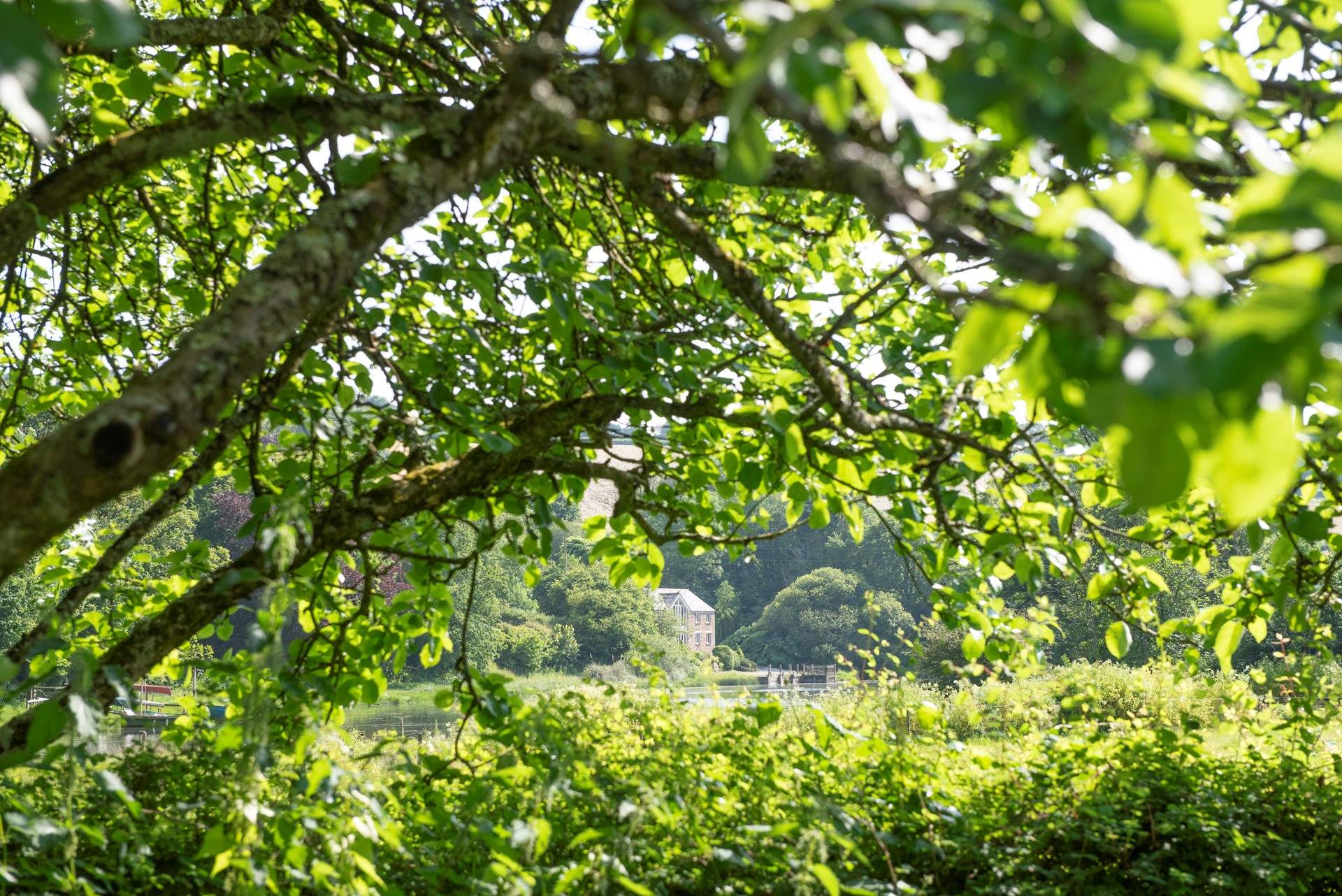 Tidal Waters, our waterside retreat.