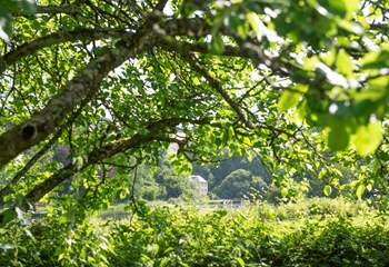 Tidal Waters, our waterside retreat.