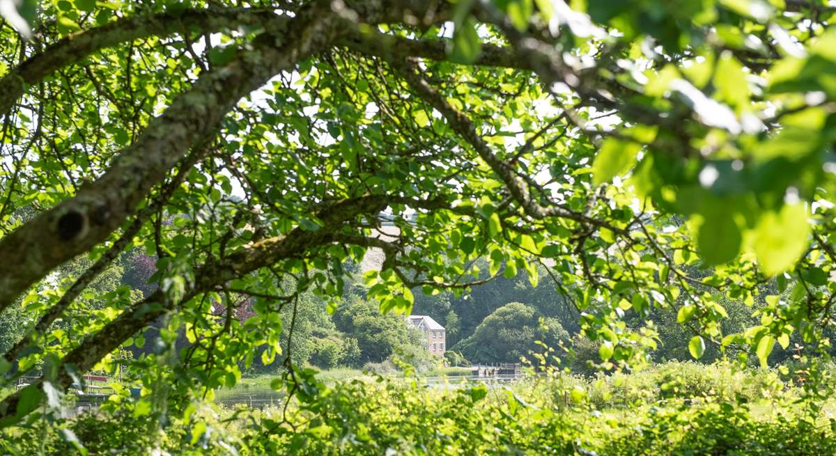 Tidal Waters, our waterside retreat.