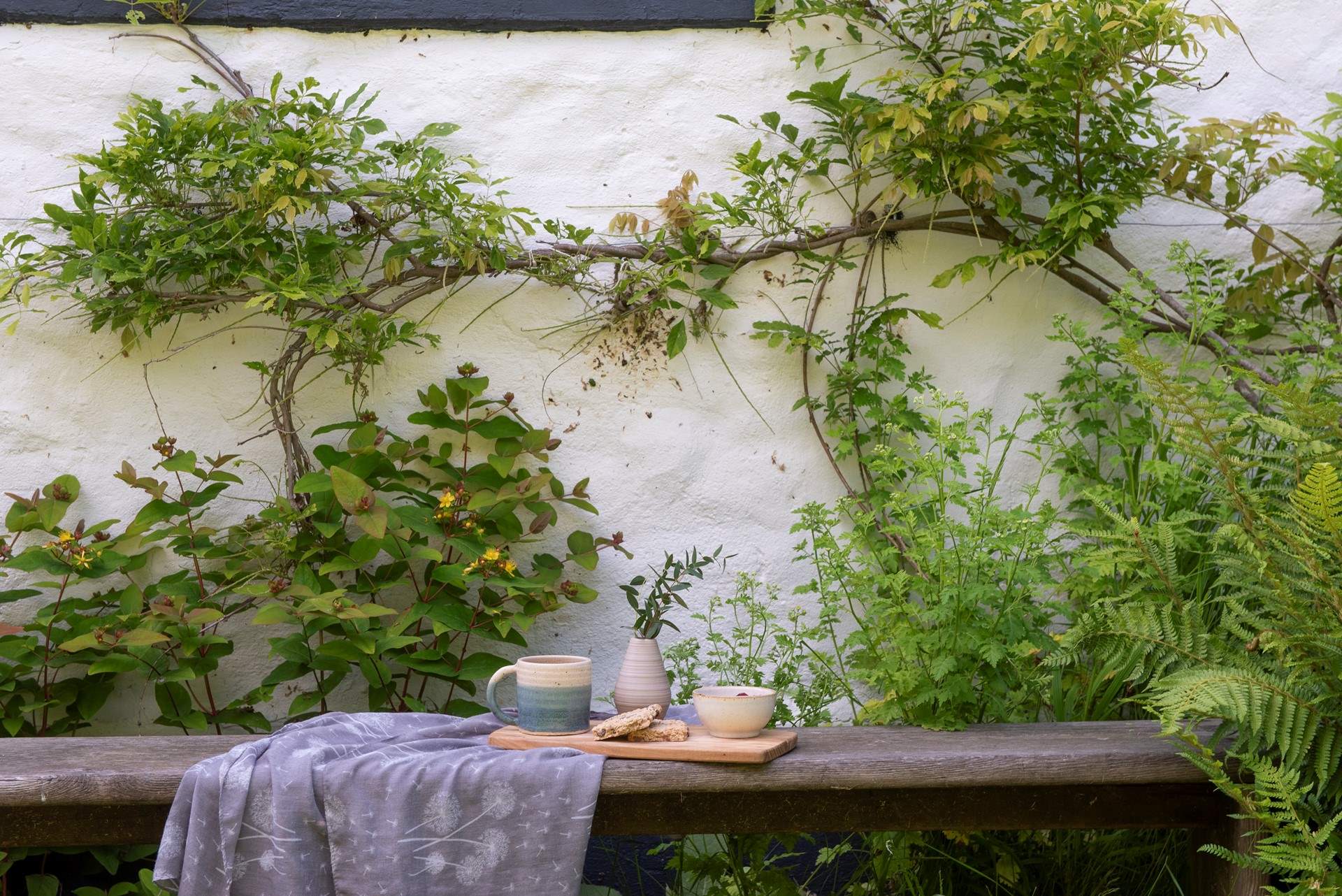 A lovely spot to enjoy a morning cuppa.