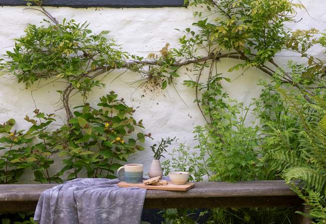 A lovely spot to enjoy a morning cuppa.
