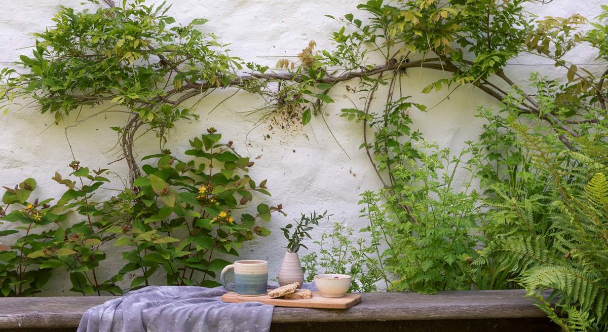 A lovely spot to enjoy a morning cuppa.