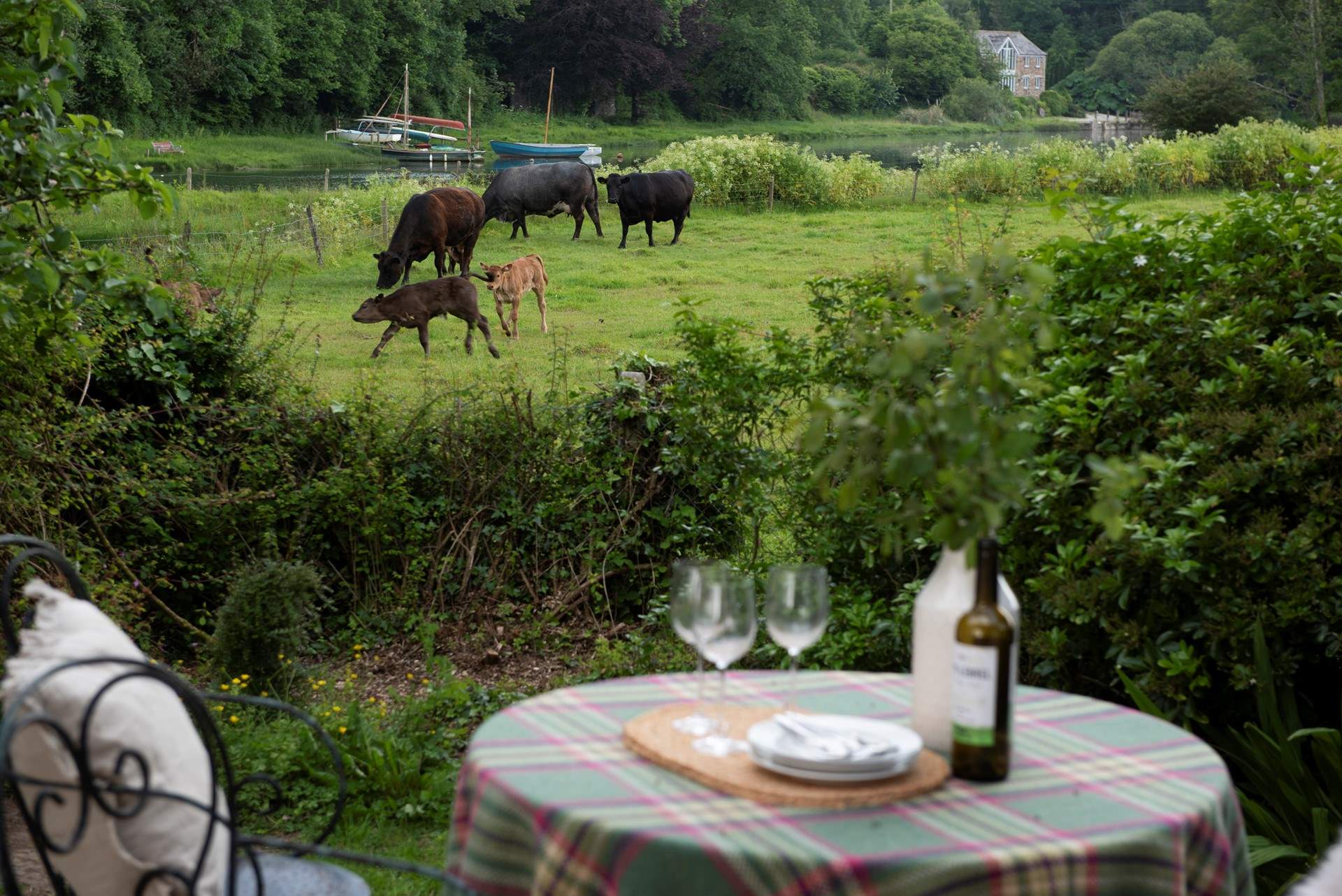 On occasions livestock will be in the neighbouring field, enhancing the countryside views. The calves are quite comical.