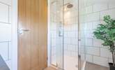 It has a lovely shower cubicle.  - Thumbnail Image