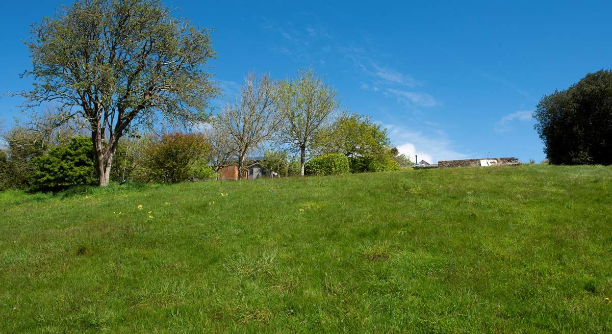 Looking back from the bottom of the shared grounds. 